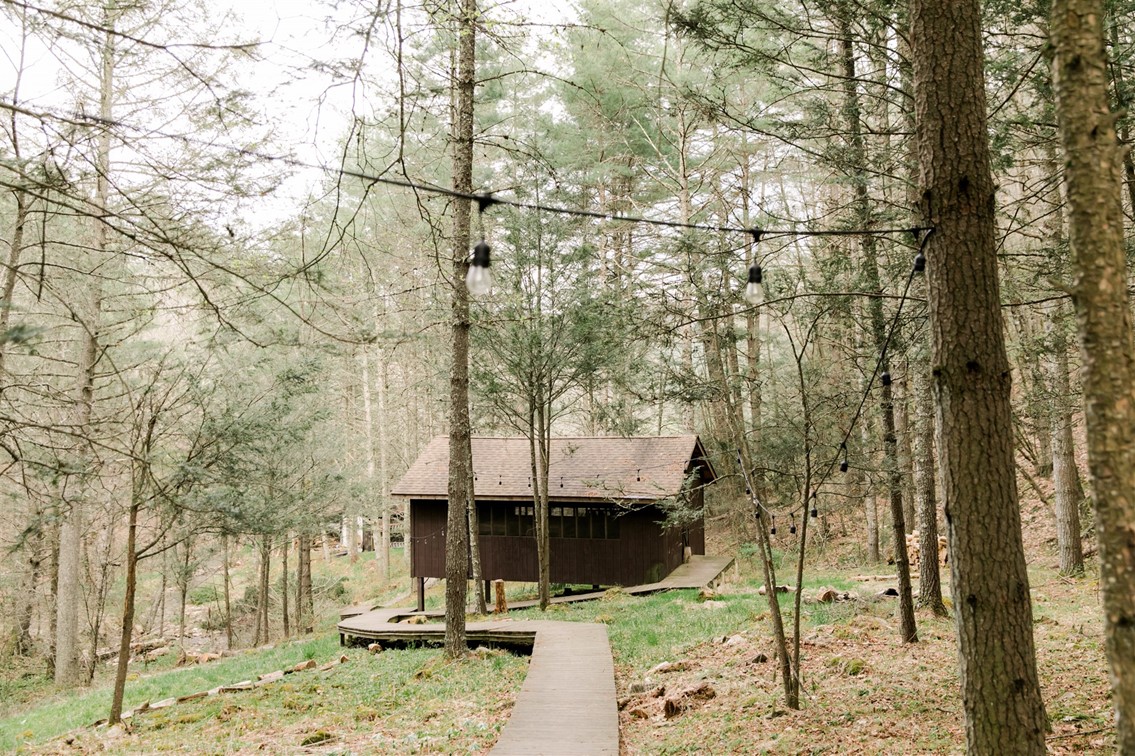 Thank You Wild + Free