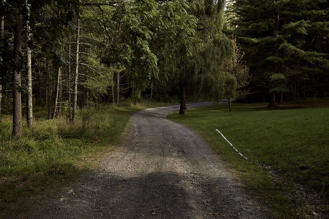 It Takes a Village Wild + Free